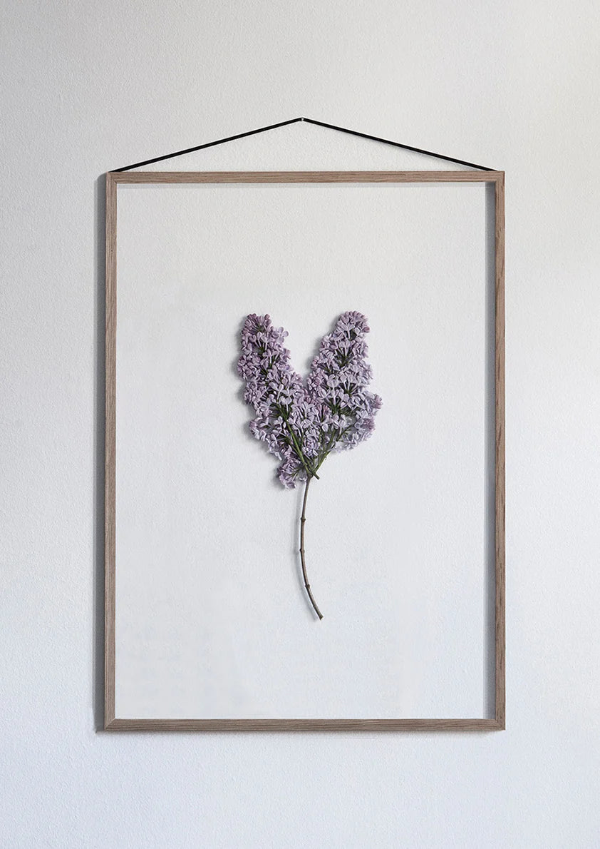 oak frame | MOEBE
